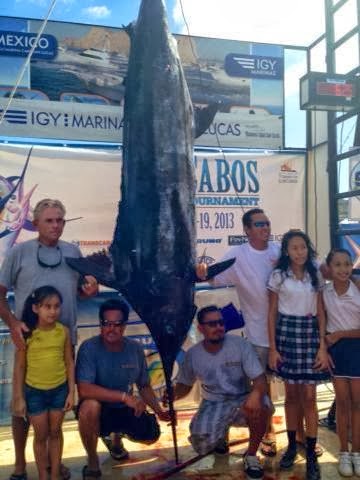 Pisces Fleet Sportfishing Blog: BIG BLUE MARLIN CAUGHT FIRST DAY OF